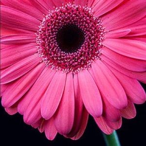 Meet your Posher, Beth ann